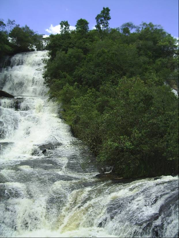 Cachoeira - Bueno Brand