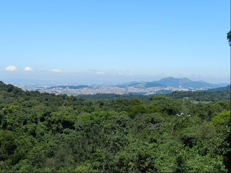 Parque Estadual Cantareira - N