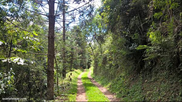 Jardim Suspenso da Babil